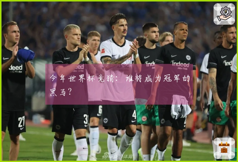 今年世界杯竞猜：谁将成为冠军的黑马？