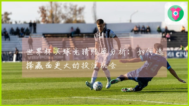 世界杯买球竞猜赔率分析：如何选择赢面更大的投注机会