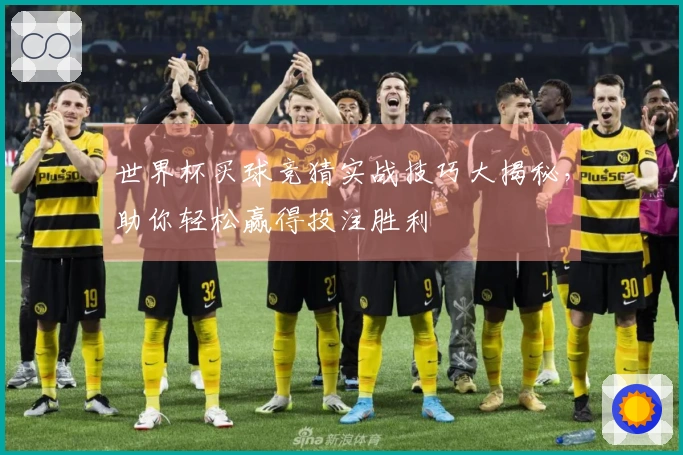 世界杯买球竞猜实战技巧大揭秘，助你轻松赢得投注胜利