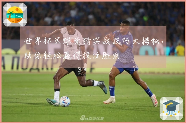 世界杯买球竞猜实战技巧大揭秘，助你轻松赢得投注胜利