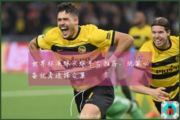 世界杯滚球买球平台推荐，玩家必备优秀选择合集