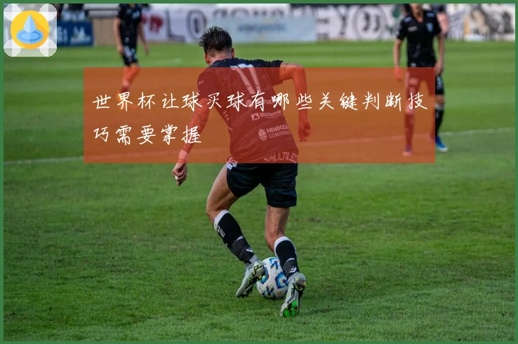 世界杯让球买球有哪些关键判断技巧需要掌握