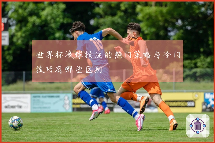 世界杯滚球投注的热门策略与冷门技巧有哪些区别